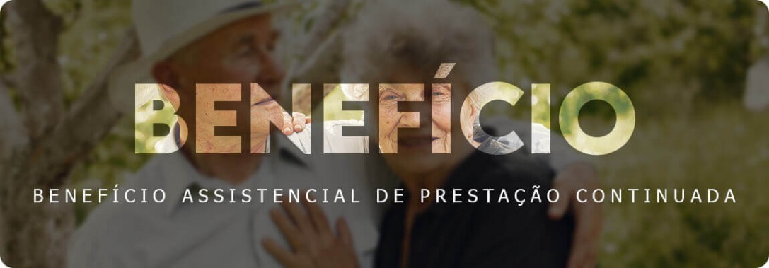 Lei orgânica da assistência social na zona sul de São Paulo - SP